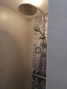 科尔马Ravissante petite suite的带淋浴和浴帘的浴室