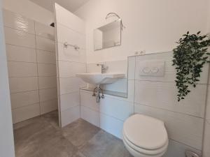 罗森海姆Alpenblick Pang的一间带卫生间和水槽的浴室