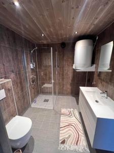 松达尔Rindabotn Fjelltun的带淋浴、卫生间和盥洗盆的浴室