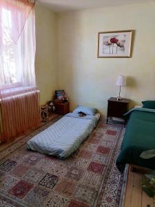 科尔马Ravissante petite suite的卧室配有一张位于地板上的床铺和窗户。