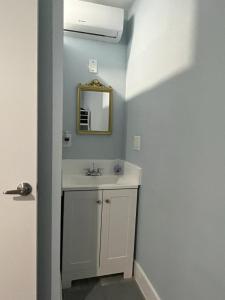 迈阿密Blue Little Havana的一间带水槽和镜子的浴室