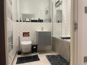 萨顿Luxury 2 bedroom Flat Sutton的一间带卫生间、水槽和镜子的浴室