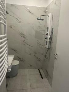 佩罗Pash apartment的白色的浴室设有卫生间和淋浴。