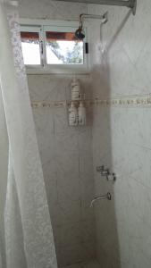 埃斯克尔Cabaña Rayen的带淋浴的浴室和窗户