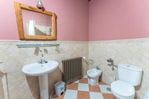 库埃利亚尔Hotel Rincón Castellano的一间带水槽、卫生间和镜子的浴室