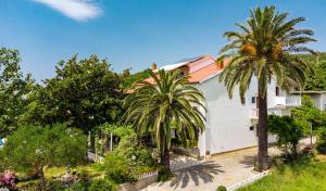 坎普尔Apartments Ankica - pool & garden的前面有棕榈树的房子