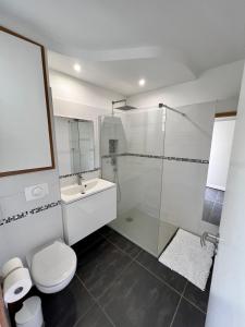 珀蒂堡Appartement Idéal的带淋浴、卫生间和盥洗盆的浴室
