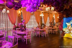 波亚纳布拉索夫Princess Butique的一间设有粉红色桌椅和气球的房间