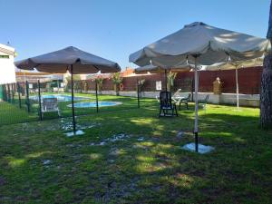 Ríolobos拉斯卡塔利纳斯露营地酒店的院子里有两把遮阳伞和一张桌子及椅子