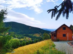 索克莱克Sowi Stok的山丘上的小木屋,以山脉为背景