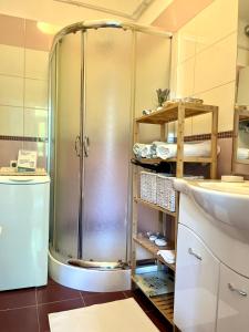 布达佩斯Beethoven Apartman的带淋浴的浴室