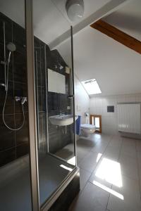 弗赖辛Gasthaus Landbrecht的一间带玻璃淋浴和水槽的浴室