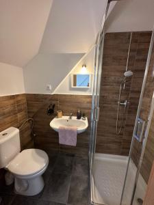 LíšnicePenzion Arendel的浴室配有卫生间、盥洗盆和淋浴。