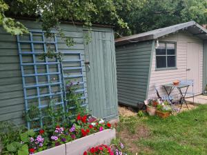 玛努敦The Potting Shed的花园,花园内有绿色的棚子和一些鲜花