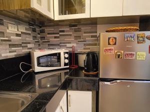 公主港Andrew n Sophia's Guest House的厨房配有冰箱和微波炉