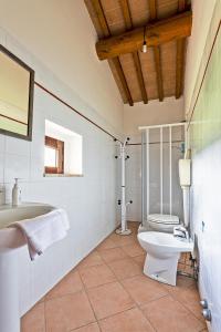 圣吉米纳诺Fattoria La Torre的一间带卫生间和水槽的浴室