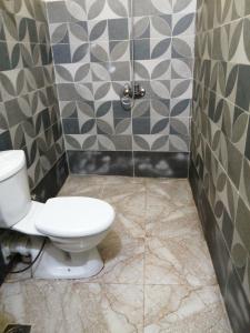 卢克索Bob Marley Peace hostels luxor的一间带卫生间和淋浴的浴室