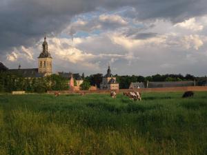 鲁汶Feel at home in Leuven的一群牛在城堡的田野里放牧