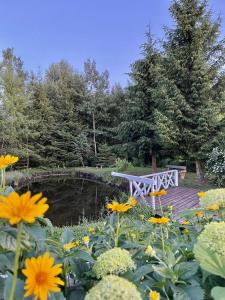 拉伊格鲁德Gościniec Joanna的池塘旁的长凳和鲜花