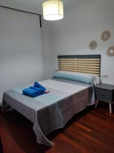 维戈Centrico y acogedor, Posibilidad parking 10 euros dia的一间卧室配有一张带蓝色毛巾的床