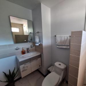 圣伊西德罗Hostel Vistas del Sol-Casa Victoria的一间带卫生间、水槽和镜子的浴室