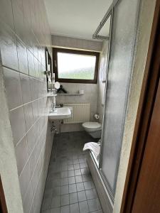 雷希Jagdhaus Rech - Ahr的一间带水槽和卫生间的小浴室