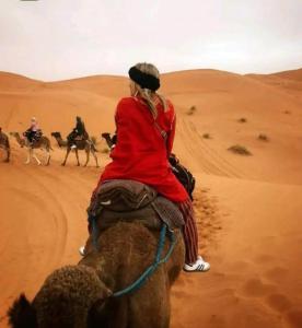 姆哈米德Camp Sahara Dunes的骑在沙漠骆驼后面的女人