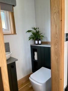 LlanelltydCwtch Cader Shepherds Hut的一间带卫生间的浴室和台面上的植物