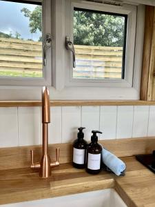 LlanelltydCwtch Cader Shepherds Hut的水槽,配有两瓶肥皂和窗户