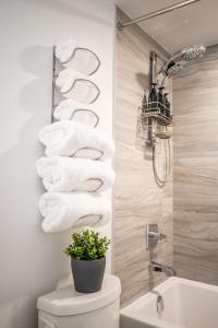 多伦多Traveller home in centre Toronto的一间带卫生间和一束毛巾的浴室