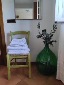 特里卡塞康切达马齐亚住宿加早餐旅馆的椅子旁的绿色花瓶