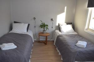 HamneideCaptains House的一间卧室配有两张床和一张植物桌子