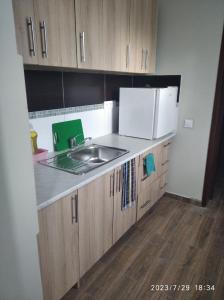 罗兹Hotelik rodzinny 365 pokoje z łazienkami的厨房配有水槽和冰箱