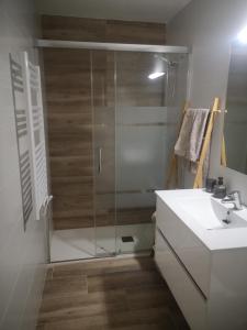 皮内达德马尔Apartament LA SAL的一间带玻璃淋浴和水槽的浴室