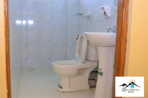 ThikaRocky river falls resort的一间带卫生间和水槽的浴室