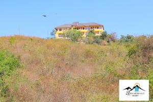 ThikaRocky river falls resort的山顶上草丛的房子
