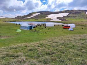 埃里温Highland Hostel的一群帐篷位于湖边的田野