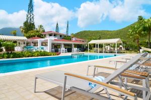 尼维斯Mount Nevis Hotel的一个带躺椅的游泳池以及度假村