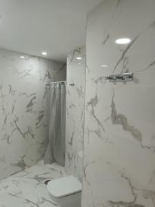 帕塔拉瓦卡Patalavaca, aguamarina的带淋浴和卫生间的白色浴室