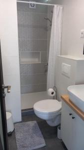 希贝尼克Apartmani HERMES Jadrija的白色的浴室设有卫生间和淋浴。