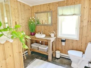 斯特伦斯塔德The Buar Cabin的木制浴室设有水槽和镜子