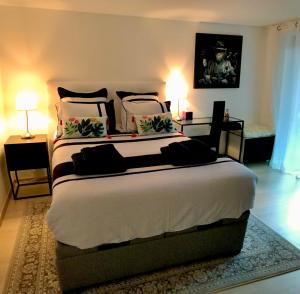 泰昂维Superbe studio privé的一间卧室配有一张大床和两盏灯
