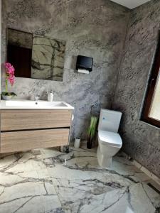 Къща за гости Вила Победа的大理石浴室设有水槽和卫生间