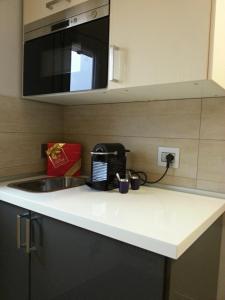 都灵曼萨达帕拉提公寓的厨房柜台设有水槽和微波炉