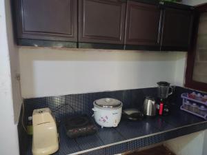 KamburugamuwaRed Rose Villa Mirissa的厨房柜台配有烤面包机和电器。