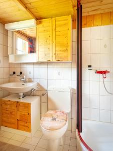 阿克斯普Chalet am Sunne-Egge auf Axalp bei Brienz的浴室配有卫生间、盥洗盆和淋浴。