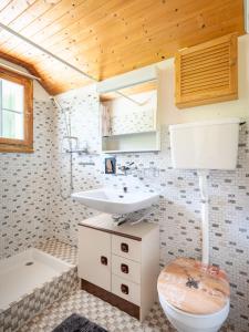 阿克斯普Chalet am Sunne-Egge auf Axalp bei Brienz的浴室配有盥洗盆、卫生间和浴缸。