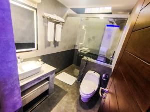 库克斯巴扎DERA Resort & Spa的一间带卫生间和水槽的小浴室