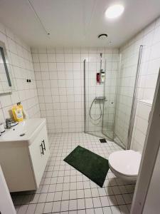 杰西姆Koselig studioleilighet的带淋浴、卫生间和盥洗盆的浴室