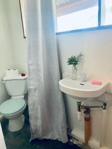 莫阿尔博阿Babu Backpackers inn的浴室设有卫生间和带浴帘的盥洗盆。